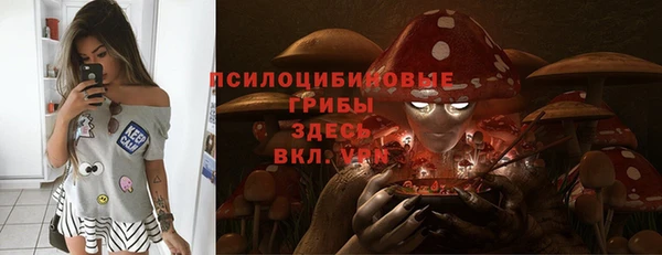 прущий лед Арсеньев