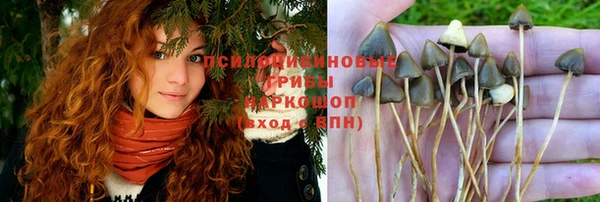 а пвп мука Аркадак