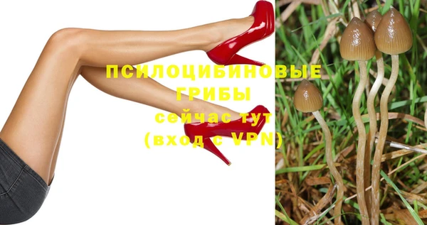 а пвп мука Аркадак